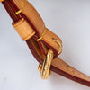Louis Vuitton Mabillon Monogram Leather Bag