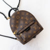 Louis Vuitton Mini Palm Springs Monogram Backpack