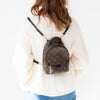 Louis Vuitton Mini Palm Springs Monogram Backpack