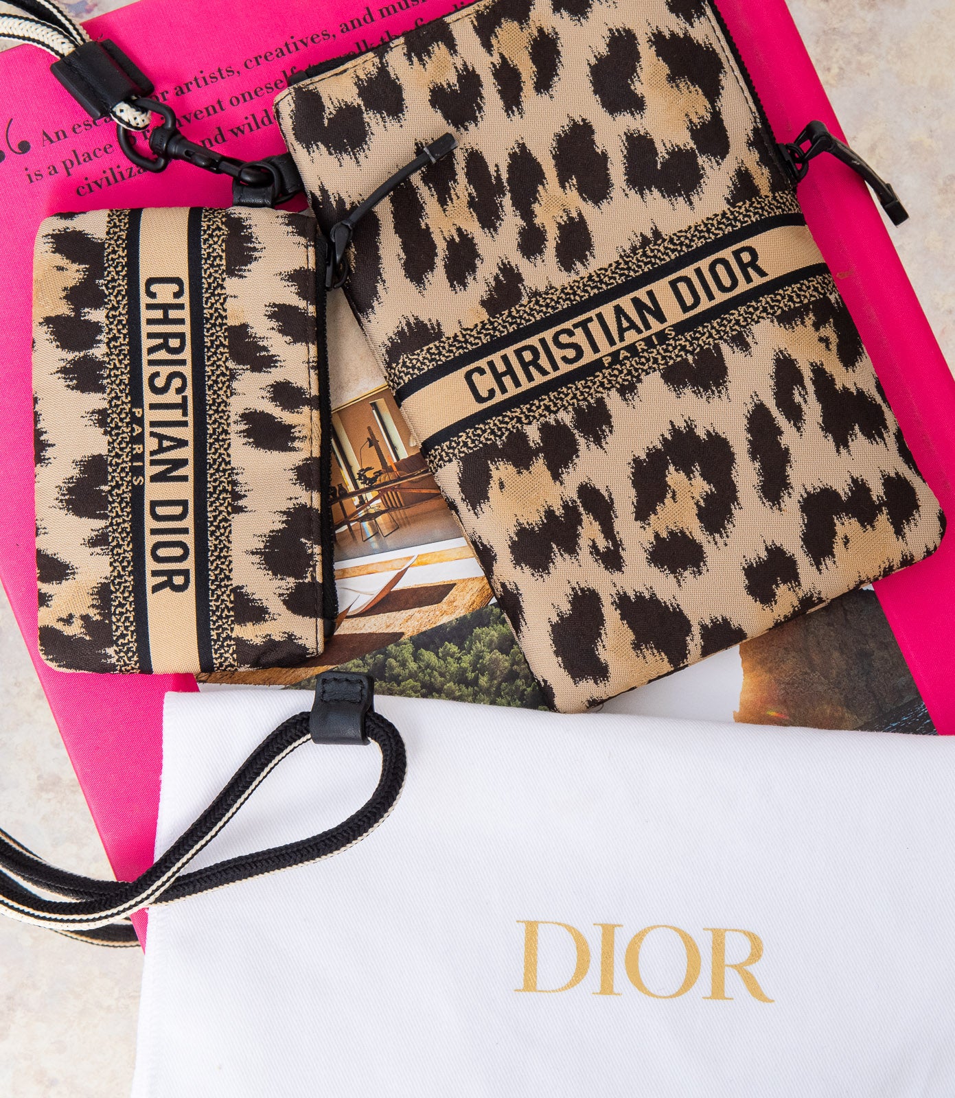 Christian Dior Pattern Print Multifunctional Pouch