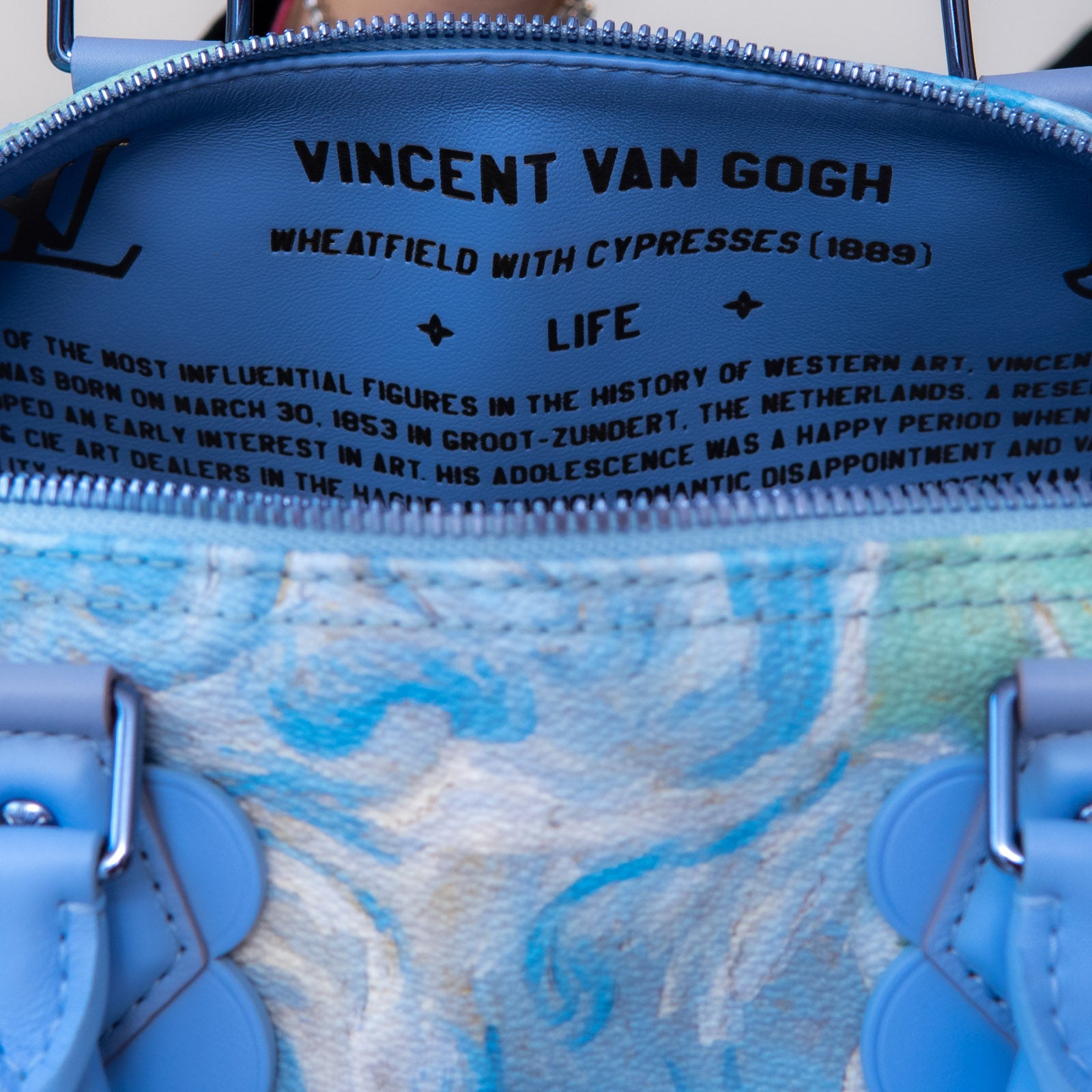 Louis Vuitton x Jeff Koons Speedy Vincent Van Gogh Masters 30