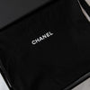 Chanel Metallic Silver Python Leather Shoulder Bag