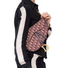 Dior Burgundy Oblique Fabric Leather Saddle Bag