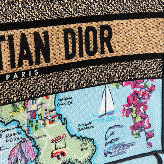 Dior Capri Souvenir Medium Dior Book Tote Natural Raffia and Multicolour