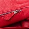 Hermes Birkin Red 30 Bag