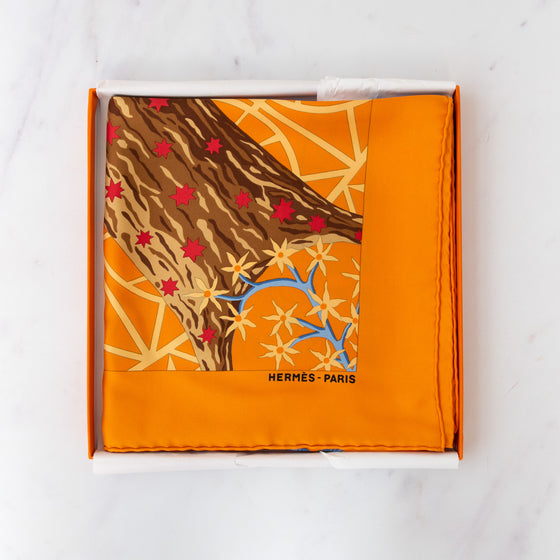 Hermès Silk Axis Mundi Silk Scarf