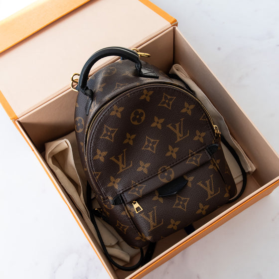 Louis Vuitton Mini Palm Springs Monogram Backpack