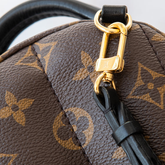 Louis Vuitton Mini Palm Springs Monogram Backpack