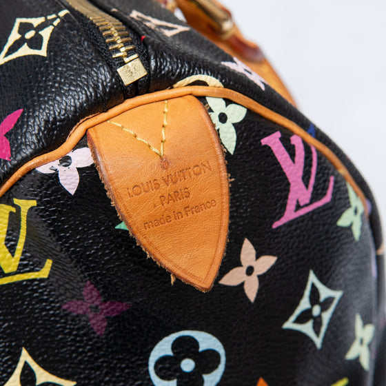 Louis Vuitton x Takashi Murakami 2003 Speedy 30 Handbag