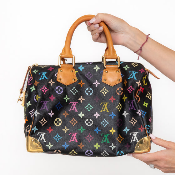 Louis Vuitton x Takashi Murakami 2003 Speedy 30 Handbag