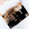 Louis Vuitton Fox Fur Collar