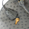 Louis Vuitton Grey Ostrich Leather Alma GM Bag