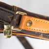 Louis Vuitton  Danube Monogram Canvas Crossbody Bag