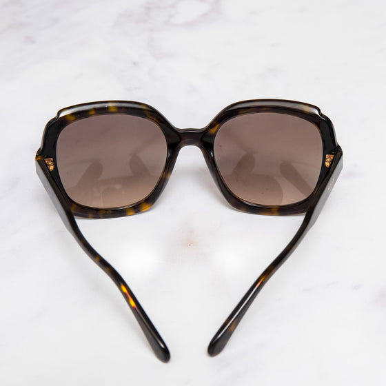 Prada Brown Sunglasses