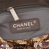 Chanel Multicolor Metallic Sequins And Patent Leather  2.55 Flap Bag