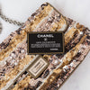 Chanel Multicolor Metallic Sequins And Patent Leather  2.55 Flap Bag