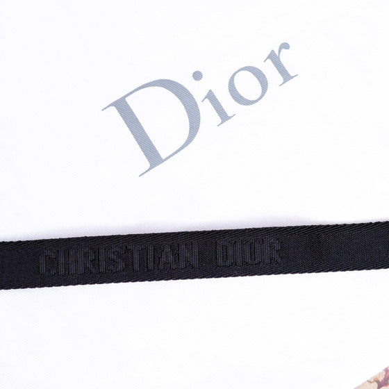 Christian Dior Matte Black Saddle Belt Bag - EVEYSPRELOVED