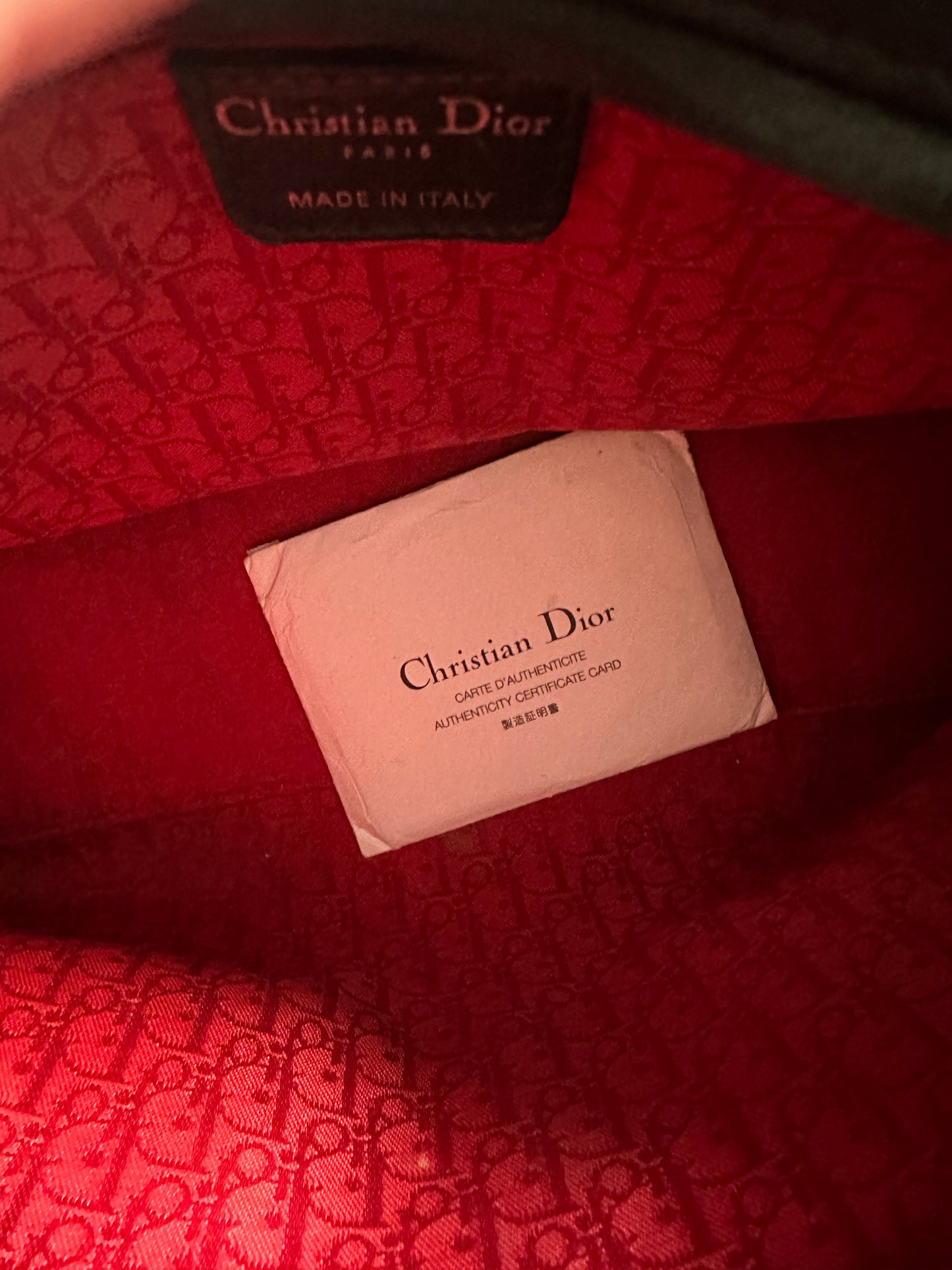 Lady Dior Handbag. - EVEYSPRELOVED